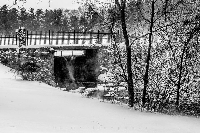 Yr6•139-365•1945•Park in Snow