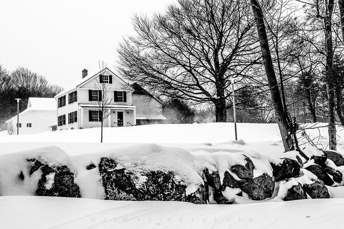 Yr6•140-365•1945•Park in Snow