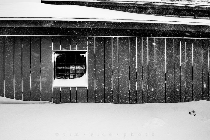 Yr6•142-365•1945•Park in Snow