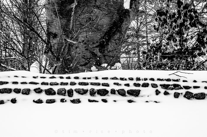Yr6•146-365•1945•Park in Snow