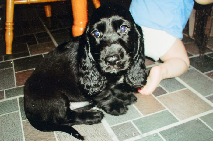 Yr6•150-365•1937•Peace