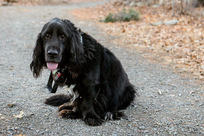 Yr6•153-365•1937•Peace