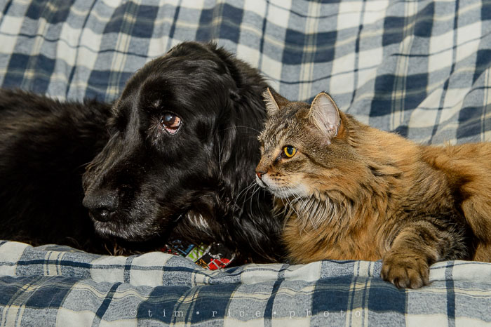 Yr6•159-365•1937•Peace