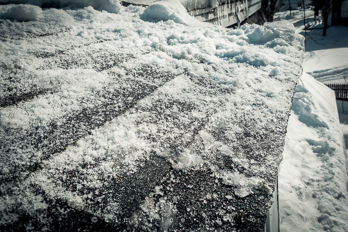 Yr6•128-365•1952•Snow Rise