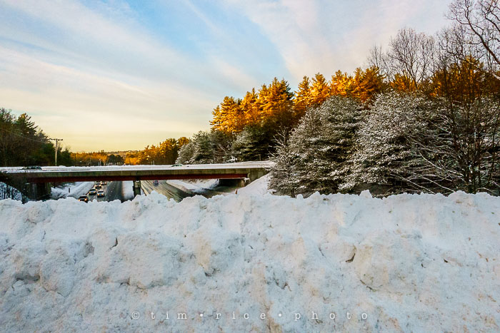 Yr6•129/365•195 Nice and Ugly February 6, 2015