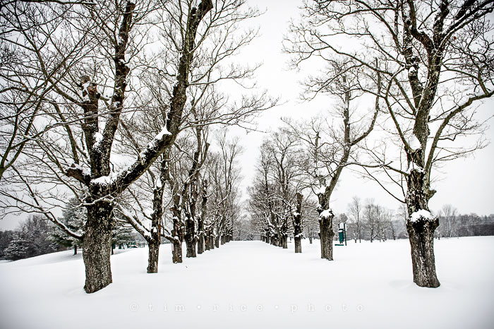 Yr6•133-365•1959•Old Mill on Charles in Snow