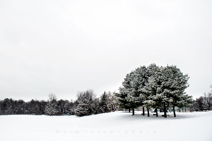 Yr6•134-365•1959•Old Mill on Charles in Snow