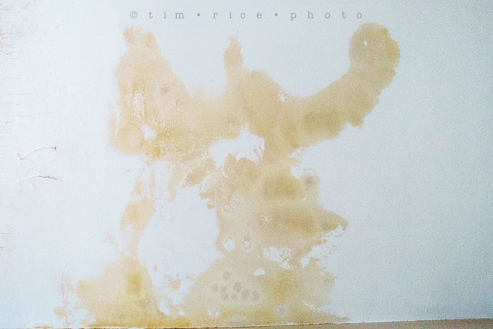 Yr6•136/365•1962 Rorschach February 13, 2015