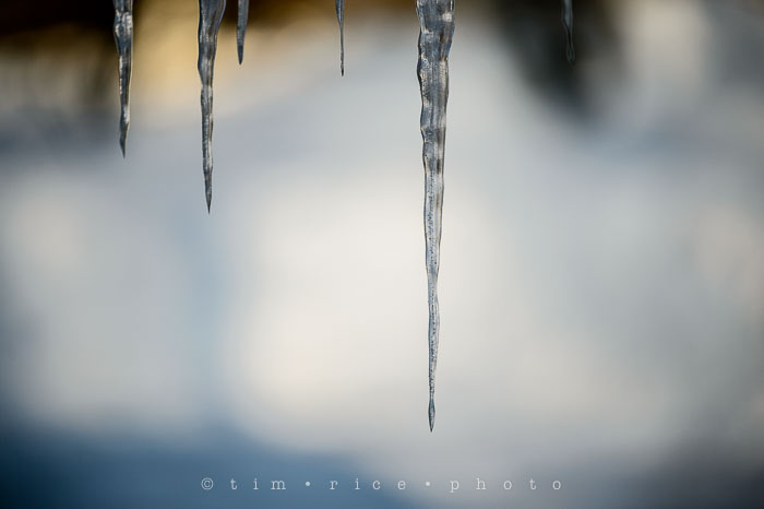 Yr6•138/365•1964 Icicles February 15, 2015