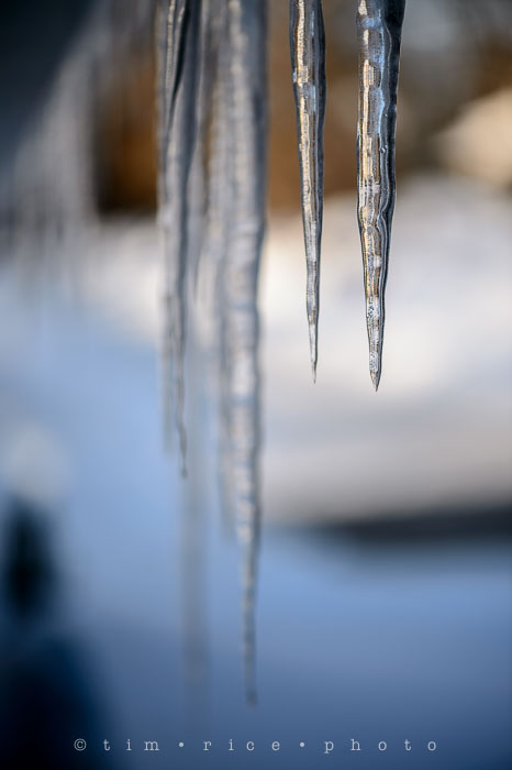 Yr6•138-365•1964•Icicles_