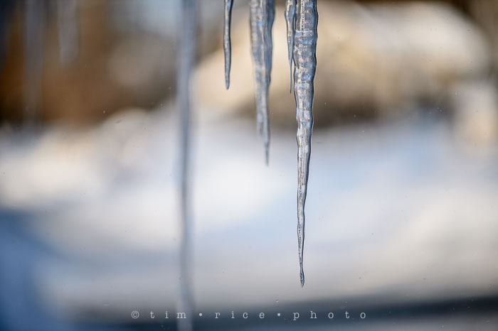 Yr6•139-365•1964•Icicles_