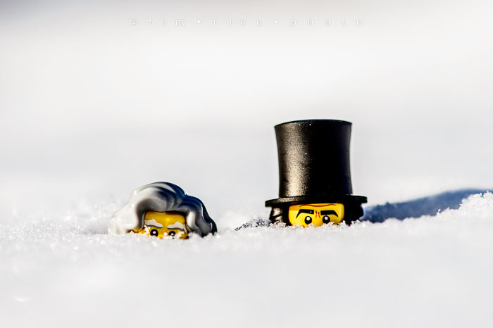 Yr6•139/365•1965 Presidents Day 2015 February 16, 2015
