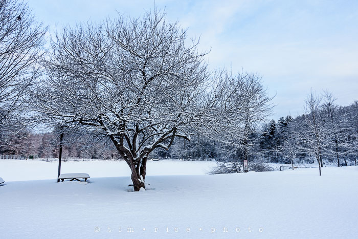 Yr6•142/365•1968 Morning Snow February 19, 2015