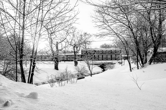 Yr6•144-365•1968•Morning Snow