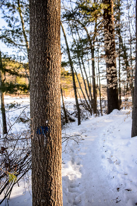 Yr6•151-365•1977•Sun-kissed Snow