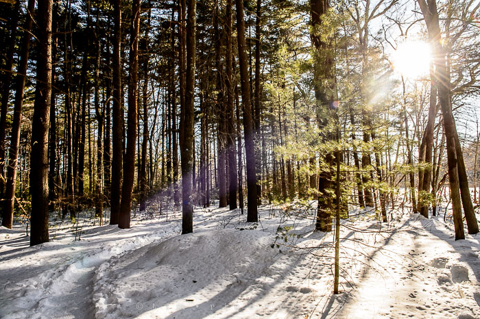 Yr6•153-365•1977•Sun-kissed Snow