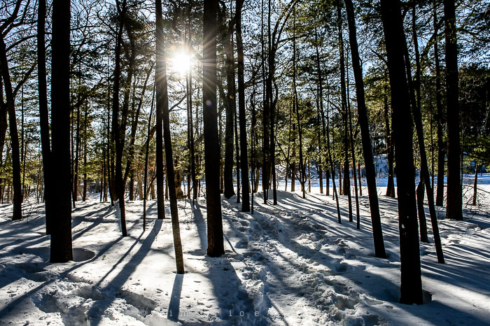 Yr6•155-365•1977•Sun-kissed Snow