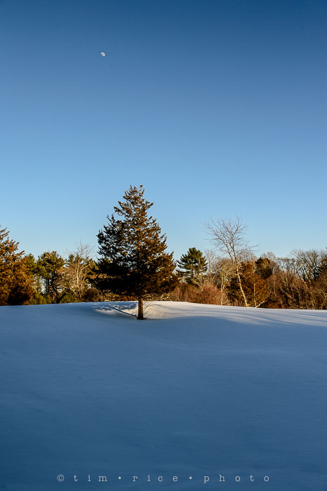Yr6•160-365•1977•Sun-kissed Snow