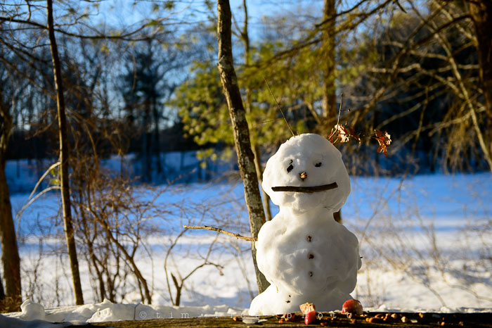 Yr6•166-365•1977•Sun-kissed Snow