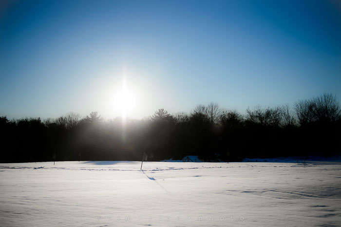 Yr6•167-365•1977•Sun-kissed Snow