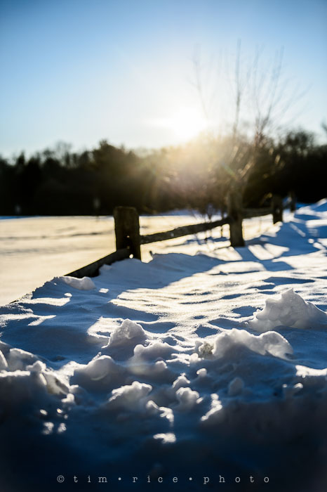 Yr6•168-365•1977•Sun-kissed Snow