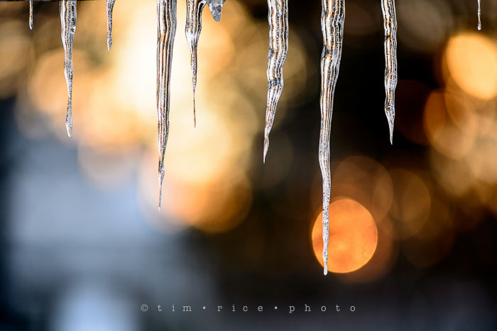 Yr6•153-365•1979•Ice at Sunset