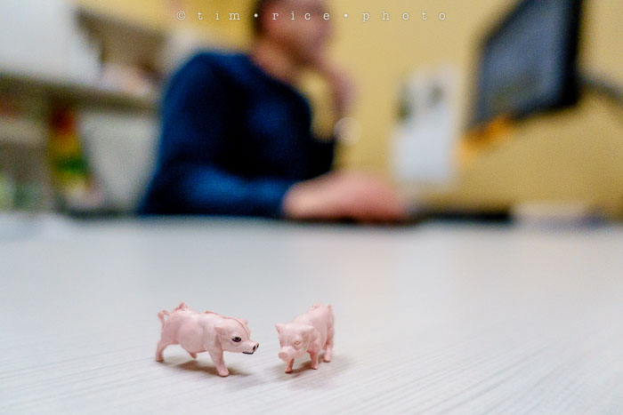 Yr6•157/365•1983 Gary's Pigs March 6, 2015
