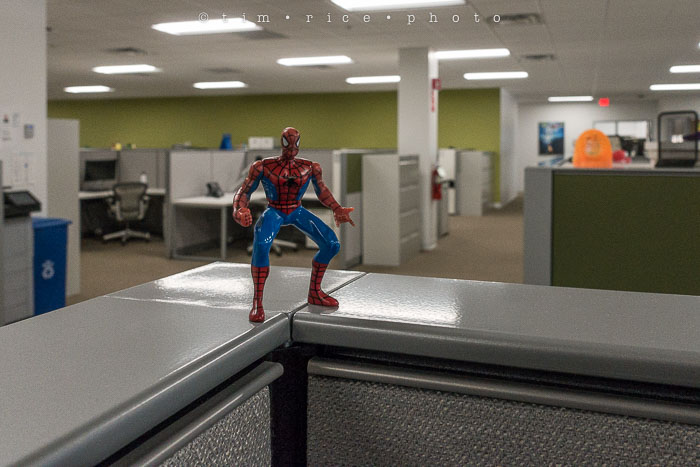 Yr6•157-365•1983•Gary's Pigs