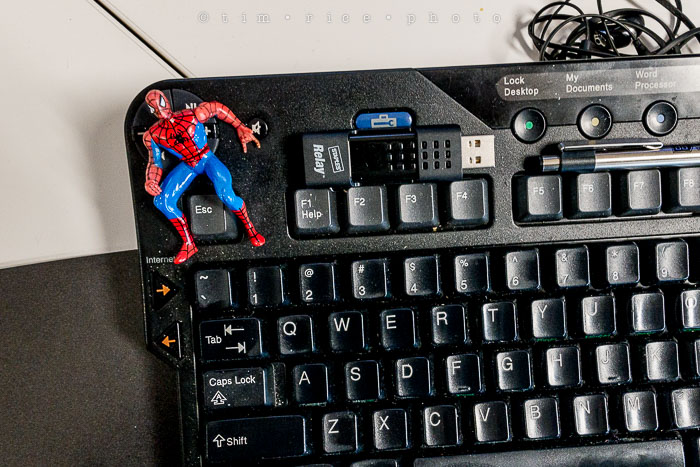 Yr6•158-365•1983•Gary's Pigs