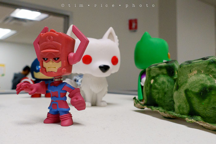 Yr6•161-365•1983•Gary's Pigs