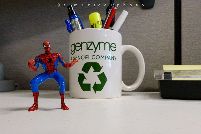 Yr6•162-365•1983•Gary's Pigs