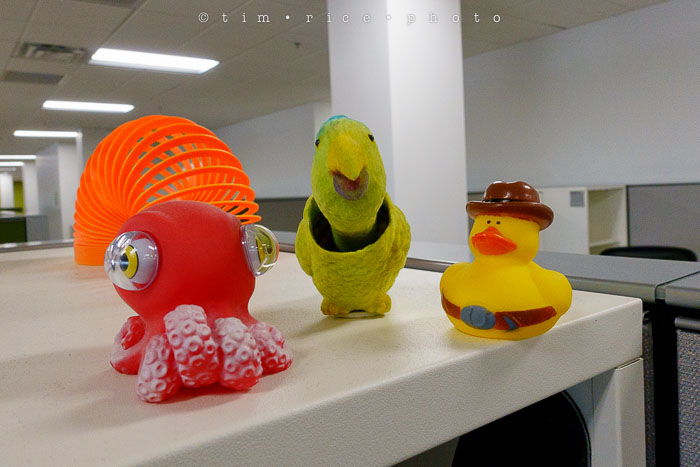 Yr6•163-365•1983•Gary's Pigs