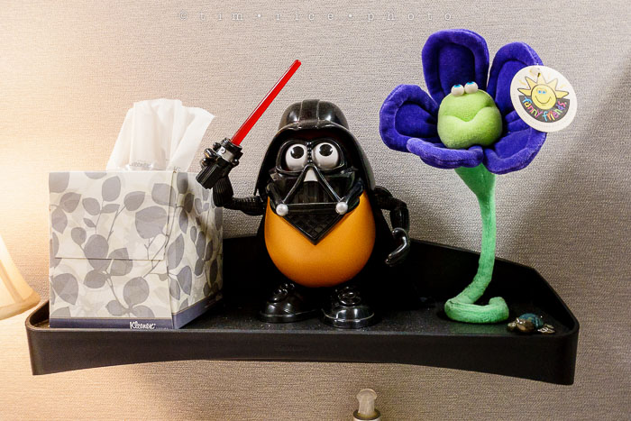 Yr6•164-365•1983•Gary's Pigs