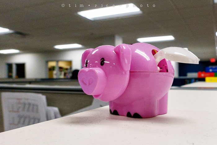 Yr6•165-365•1983•Gary's Pigs