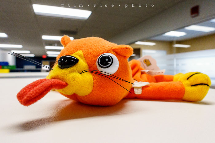 Yr6•166-365•1983•Gary's Pigs