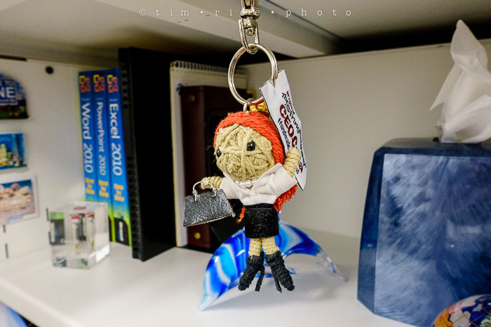 Yr6•168-365•1983•Gary's Pigs