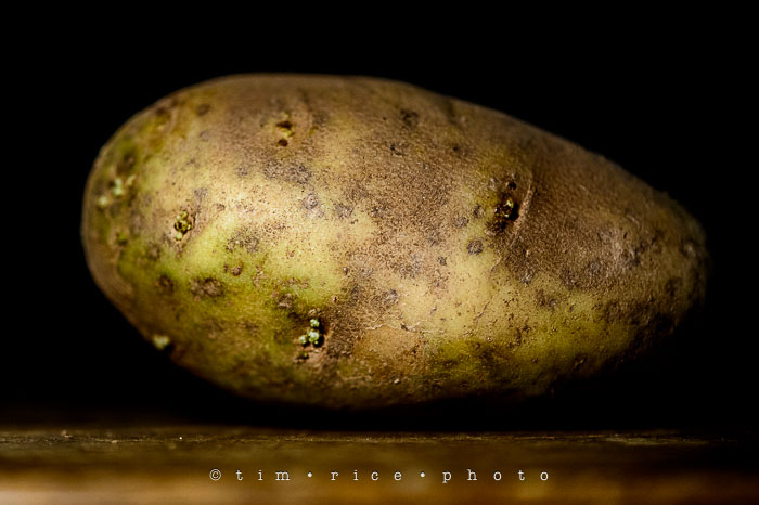 Yr6•168/365•1994 The Potato March 17, 2015
