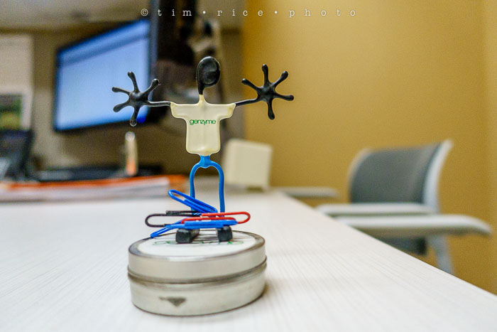 Yr6•171-365•1983•Gary's Pigs