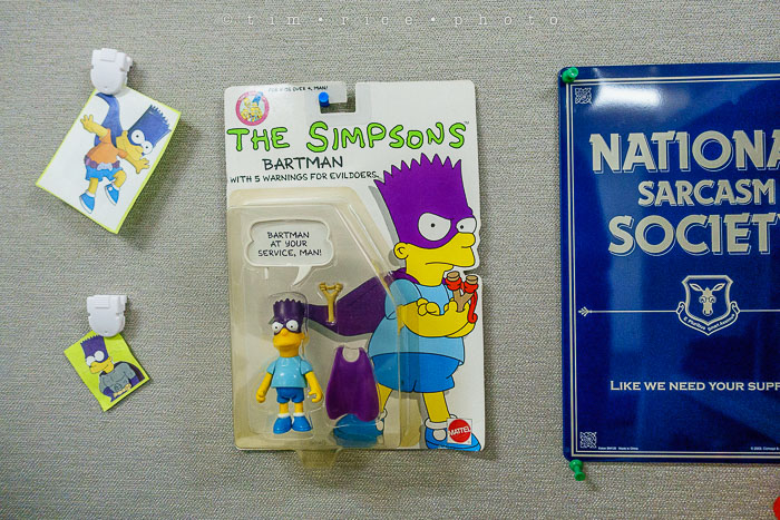 Yr6•172-365•1983•Gary's Pigs