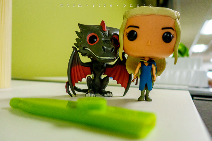 Yr6•173-365•1983•Gary's Pigs