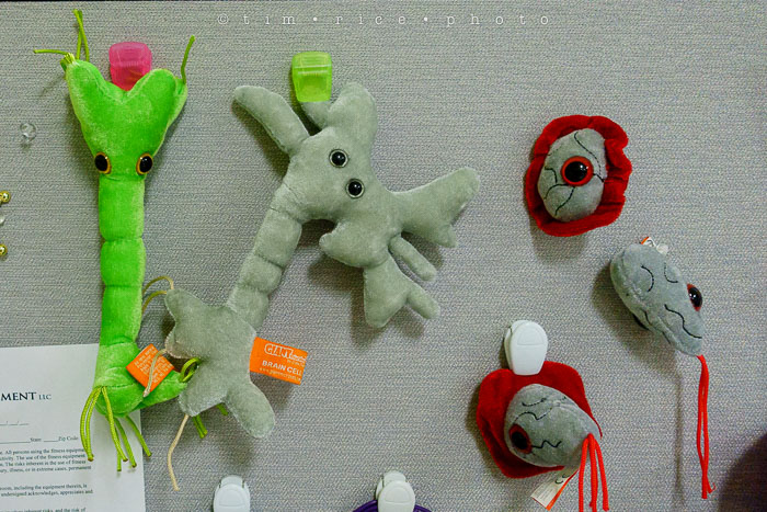 Yr6•174-365•1983•Gary's Pigs