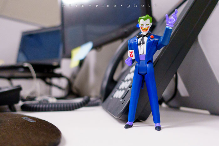 Yr6•176-365•1983•Gary's Pigs