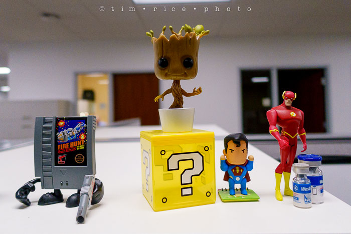 Yr6•178-365•1983•Gary's Pigs