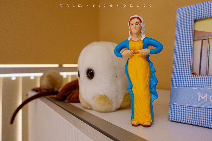 Yr6•179-365•1983•Gary's Pigs