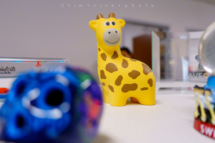 Yr6•180-365•1983•Gary's Pigs