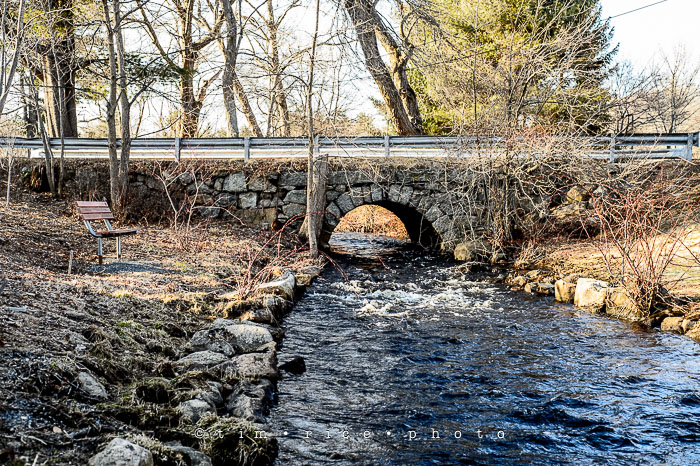 Yr6•185-365•2011•In The Woods
