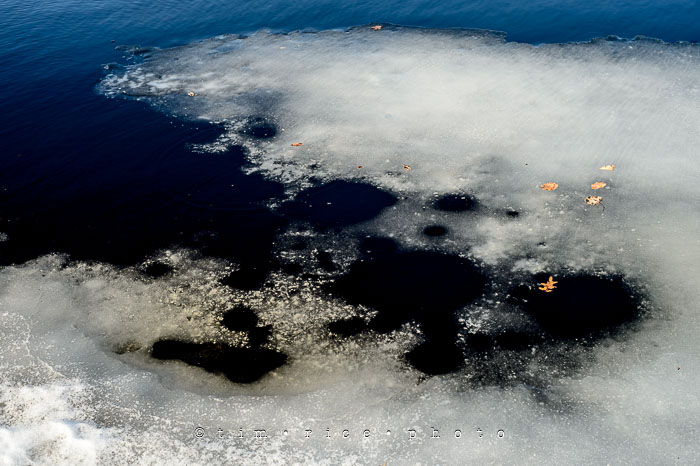 Yr6•186-365•2011•In The Woods