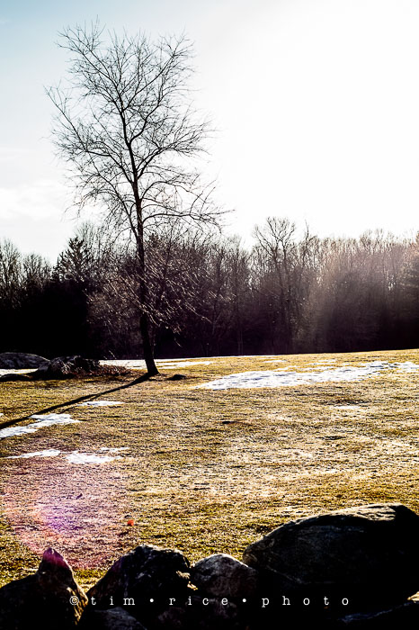 Yr6•187-365•2011•In The Woods