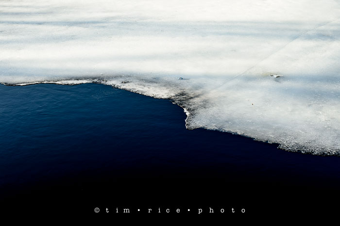 Yr6•188-365•2011•In The Woods