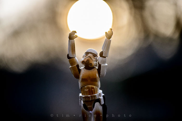 Yr6•197/365•2023 Harness the Light April 15, 2015